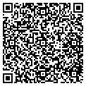 QR code with Saab contacts
