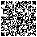QR code with Catherine M Flanagan contacts