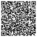 QR code with Logic Co contacts