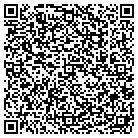 QR code with Baba Construction Corp contacts