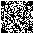QR code with Cellular Island Vi contacts
