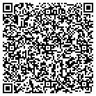 QR code with Professional Cmpt Solutions contacts