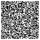 QR code with Professional Vehicle Leasing contacts