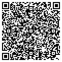 QR code with Village Soft Serve contacts