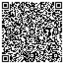 QR code with Cynergy Data contacts