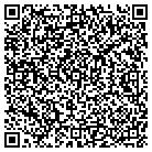 QR code with Blue Haven Pools & Spas contacts