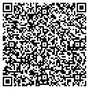 QR code with Public Abstract Corp contacts