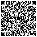 QR code with Chameleon Apparel Inc contacts