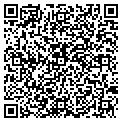 QR code with C Chen contacts