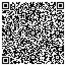QR code with Punch Clock Systems contacts