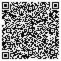 QR code with Lightnin contacts