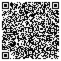 QR code with David H Grumer CPA contacts
