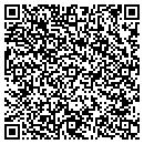 QR code with Pristine Services contacts