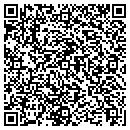 QR code with City Scaffolding Corp contacts
