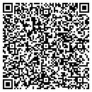 QR code with Public Works Garage contacts