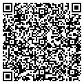 QR code with Infocus contacts