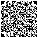 QR code with Pt Home Improvements contacts