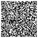 QR code with Pro Document Solutions contacts