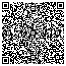 QR code with Priority 1 Med Systems contacts