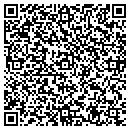 QR code with Cohocton Public Library contacts