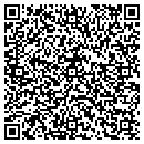QR code with Promedex Inc contacts