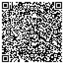 QR code with Pro Pool contacts
