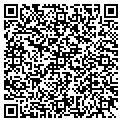 QR code with Virtis Company contacts
