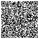 QR code with Public School 4/213 contacts