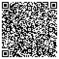 QR code with Tadd Displays contacts