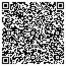QR code with Cb's 313 Gallery Inc contacts