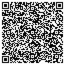 QR code with Pro-Tek of N Y Inc contacts