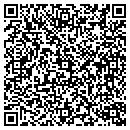 QR code with Craig M Arons CPA contacts