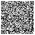 QR code with IBEW contacts