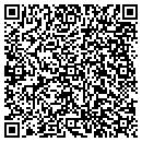 QR code with Cgi and Partners Inc contacts