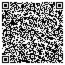 QR code with Process Automation contacts