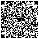 QR code with Blink 8 Anchorage County contacts