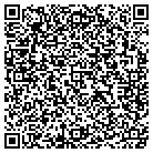 QR code with Babushka's Food Corp contacts