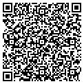 QR code with N Nail contacts