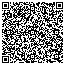 QR code with Cobalt Systems contacts