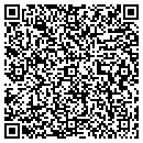 QR code with Premier Diner contacts