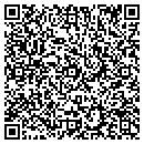 QR code with Punjab Vegetable Inc contacts