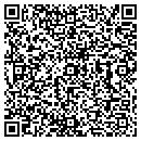 QR code with Puschkin Inc contacts