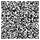 QR code with Culligan Auto Place contacts