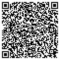QR code with Lilys contacts