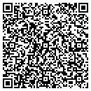 QR code with Public Abstract Corp contacts