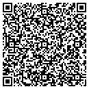 QR code with Premiere Yankee contacts