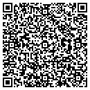 QR code with Pratt Realty contacts