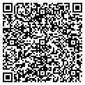 QR code with Netex contacts