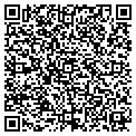 QR code with Pawnit contacts