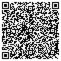 QR code with Tilt contacts